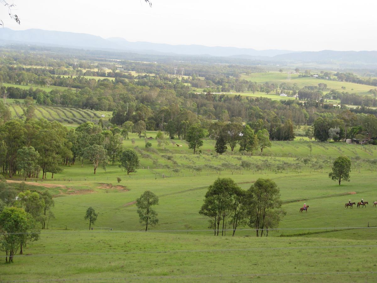 Hill Top Country Guest House เลิฟเดล ภายนอก รูปภาพ