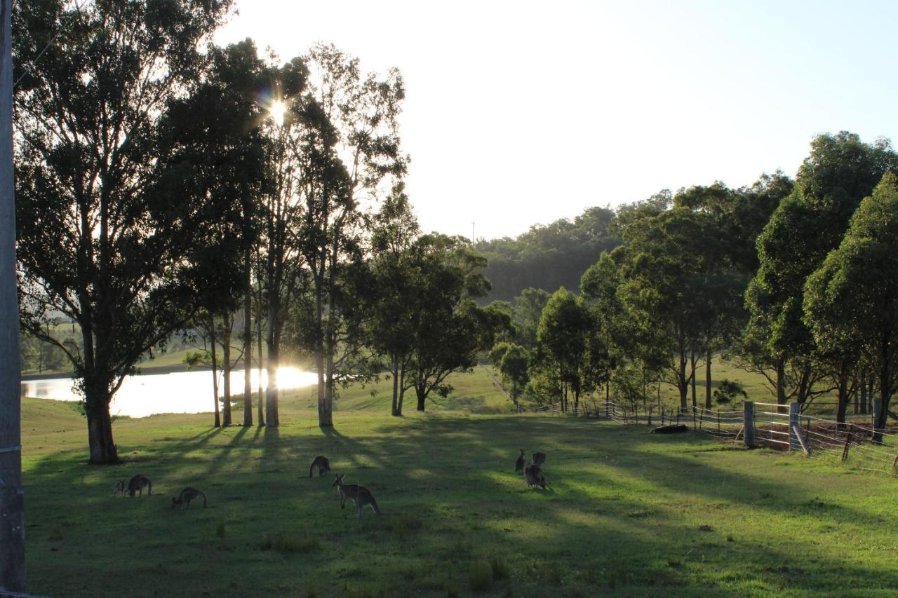 Hill Top Country Guest House เลิฟเดล ภายนอก รูปภาพ